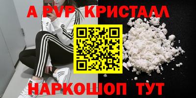 амф Кингисепп