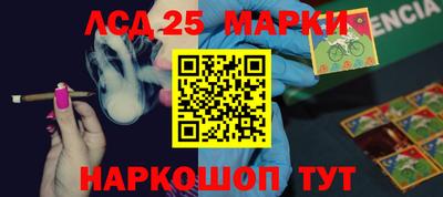 амф Кингисепп