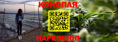 амф Кингисепп