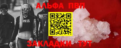 амф Кингисепп
